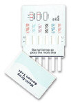 six panel drug test